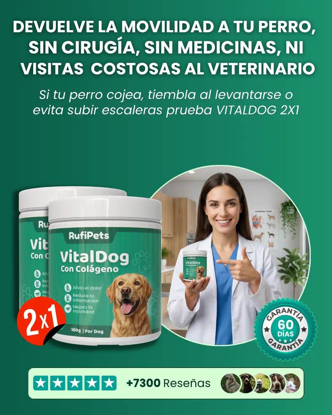 2X1 VITALDOG | ARTICULACIONES